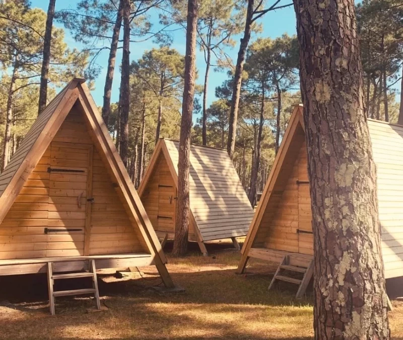 Surfen & SUP: Wellenreiten und Paddeln zwischen Pinien und Atlantik