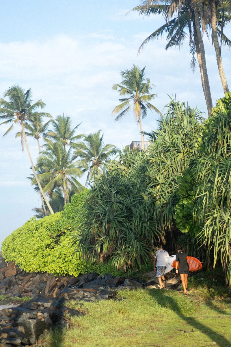 Surfen, Yoga und  Wellness im sonnigen Sri Lanka