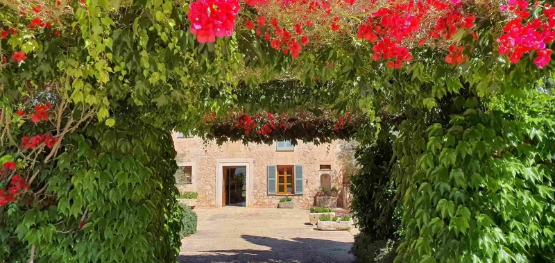 Revitalisierendes Ayurveda-Retreat mit Yoga im sonnigen Mallorca