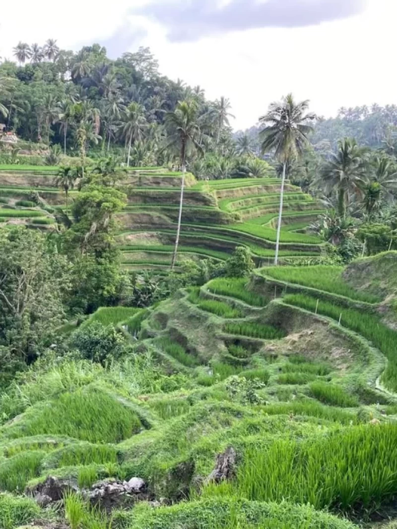 Spirituelles Yoga Retreat: Finde deinen inneren Frieden auf Bali