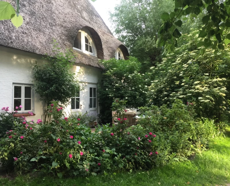 Tief einatmen & Stress loslassen: Dein Yoga-Retreat an der Nordsee