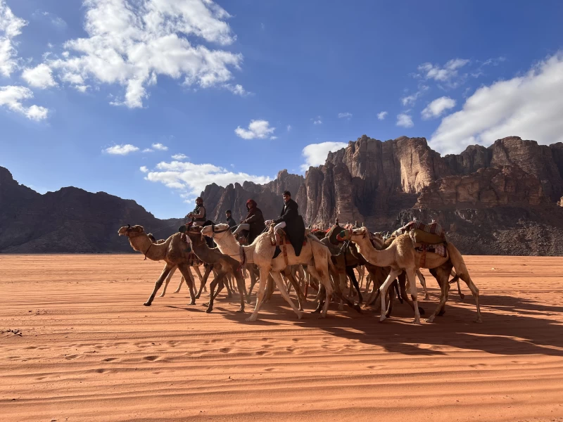 Lehrer:innen-Ausbildung: Werde ein Past Life Coach in Jordanien!