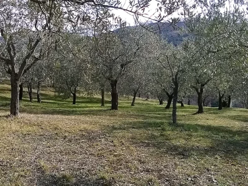 Individuelles Stille Retreat im italienischen Assisi