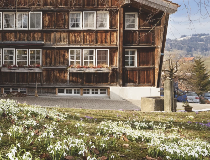 Magisches Yogawochenende in den Appenzeller Bergen