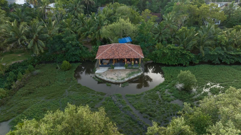 Innere Ruhe und Balance: Qi Gong & Yin Yoga Retreat in Tangalle