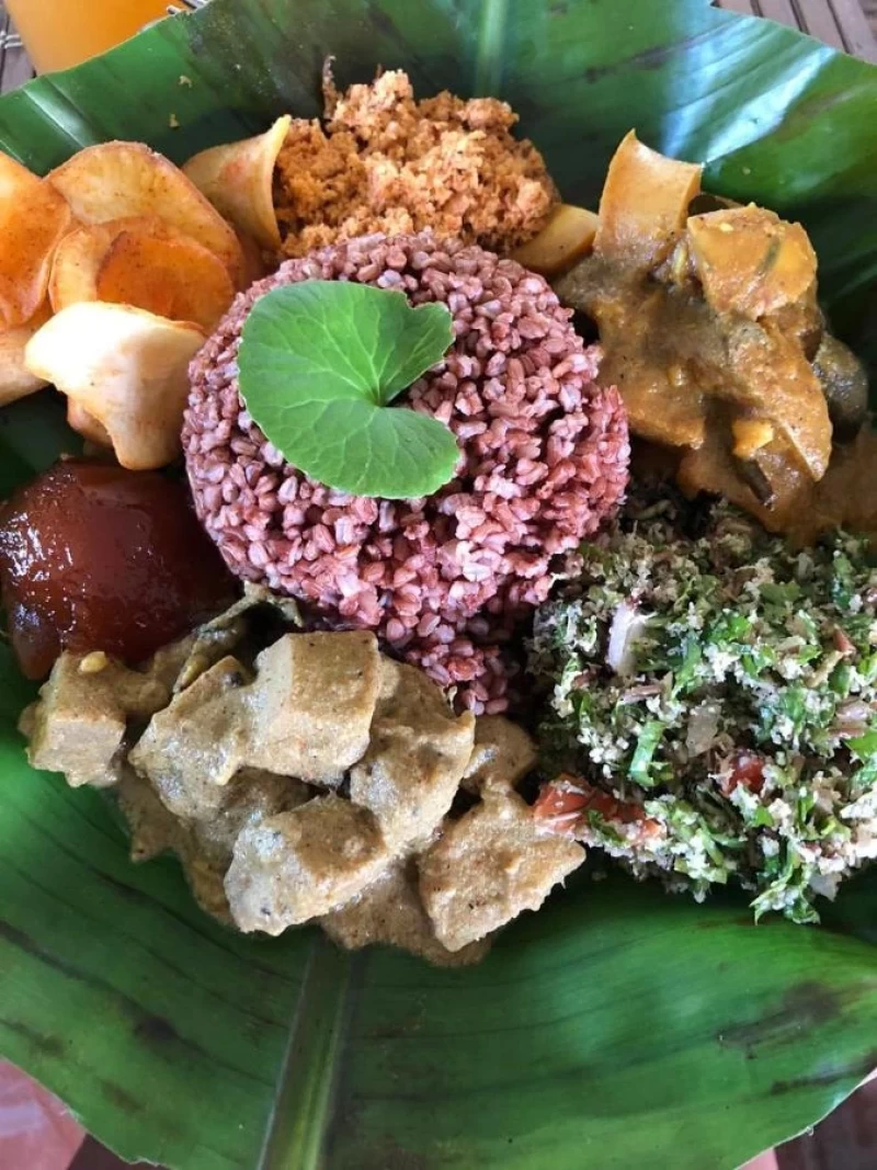 Yoga, Dschungel und Meer: Traumurlaub in Unawatuna