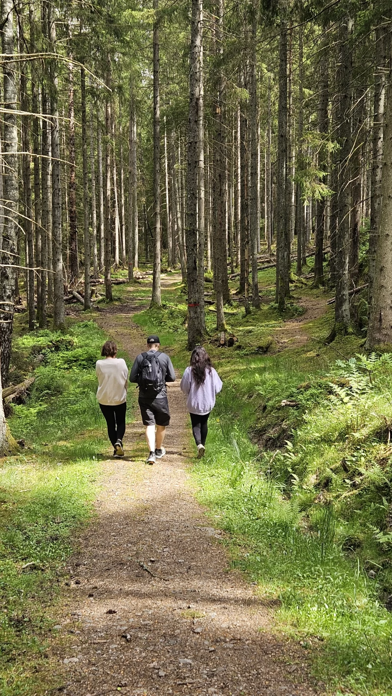 Fasten- und Detox-Retreat an der idyllischen Westküste Schwedens