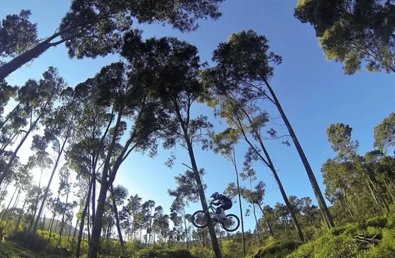 On Mountain Bike Trails through the Sierra da Sintra