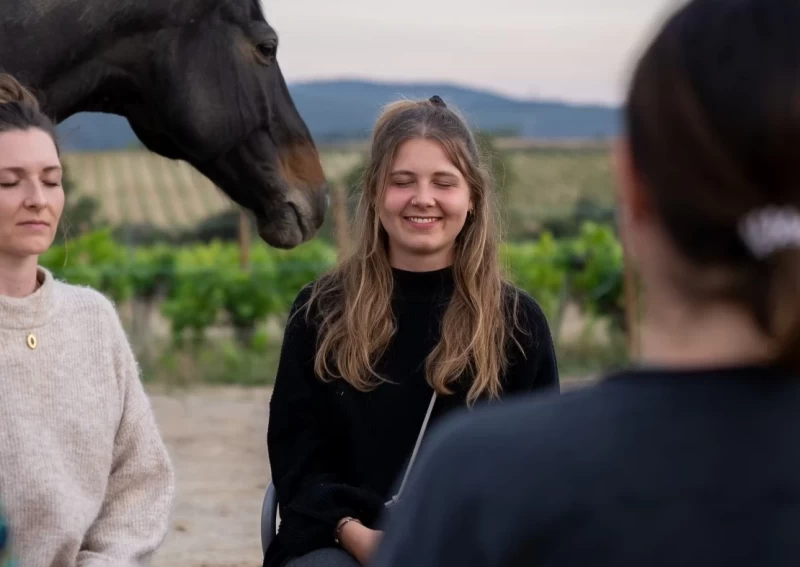 Yoga & Heilung mit Pferden: Dein Weg zu Ruhe und innerer Balance