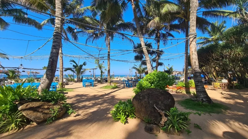 Erfrische deine Seele! Ein verjüngendes Yoga-Retreat-Erlebnis in Sri Lanka