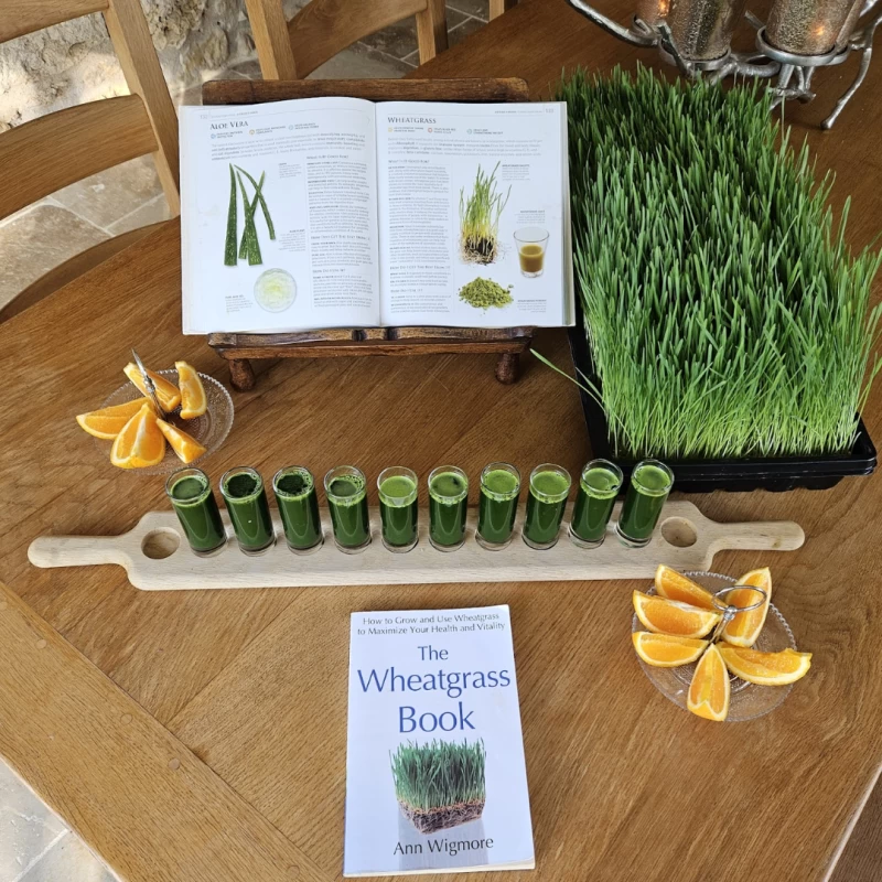 Organic Juice Detox & Yoga-Retreat in Wales