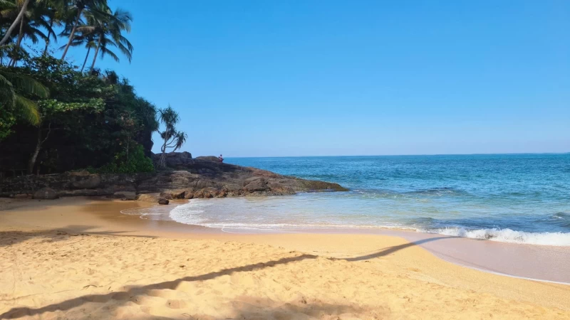 Erfrische deine Seele! Ein verjüngendes Yoga-Retreat-Erlebnis in Sri Lanka