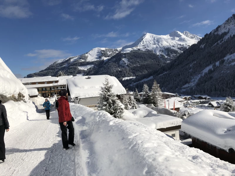 Mindful Mountain: Meditation und Winterwandern im Kleinwalsertal