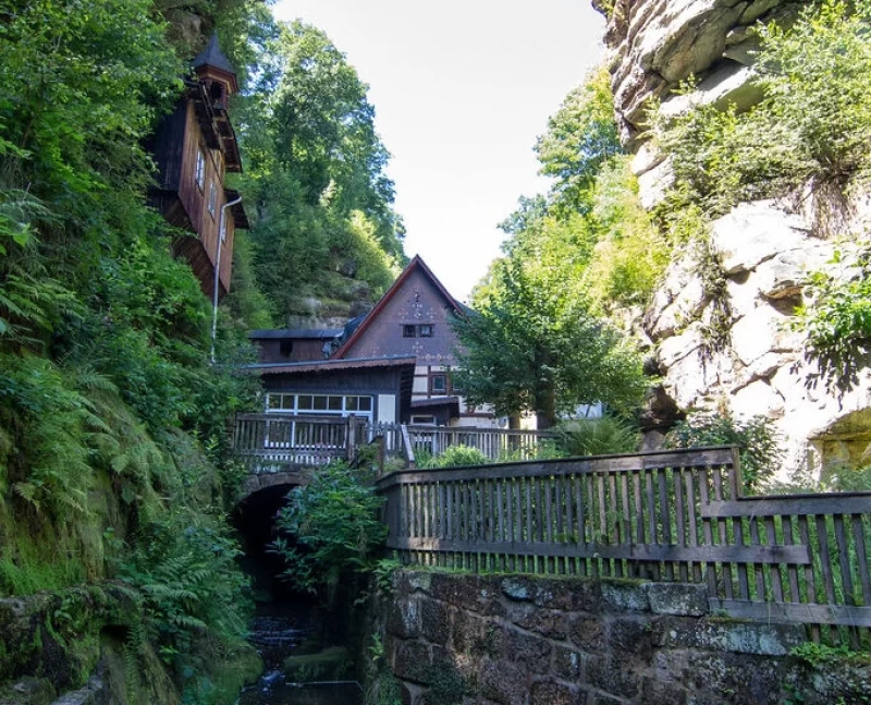 Yoga, Wandern und Rohkost-Detox in der Sächsischen Schweiz