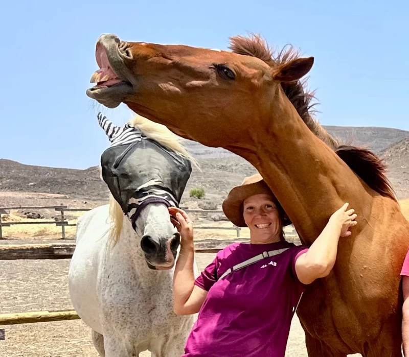 Yoga & Erden mit Pferden