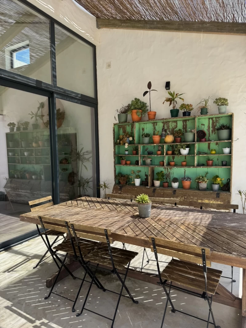 Plant Power Reset: Veganes Neujahrs-Retreat mit Surfen, Fitness & Yoga