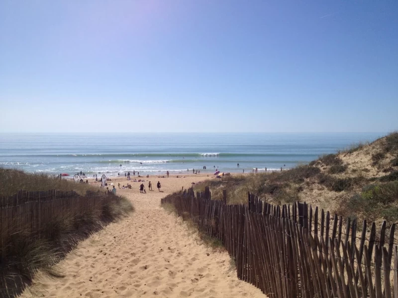 Between Sea and Forest: Surfing and Tranquillity on the Atlantic Coast