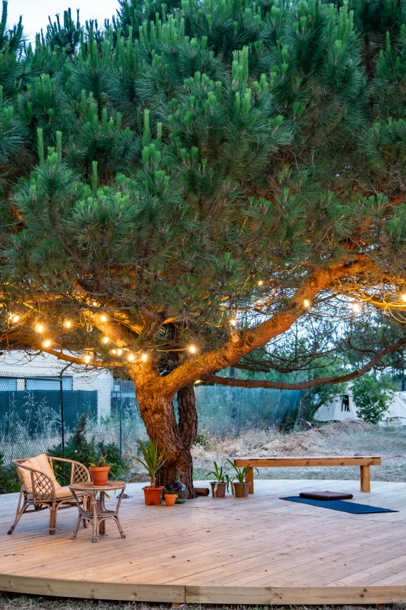 Entspanntes Surfcamp mit authentischem portugiesischem Charme