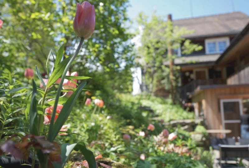 Magisches Yogawochenende in den Appenzeller Bergen