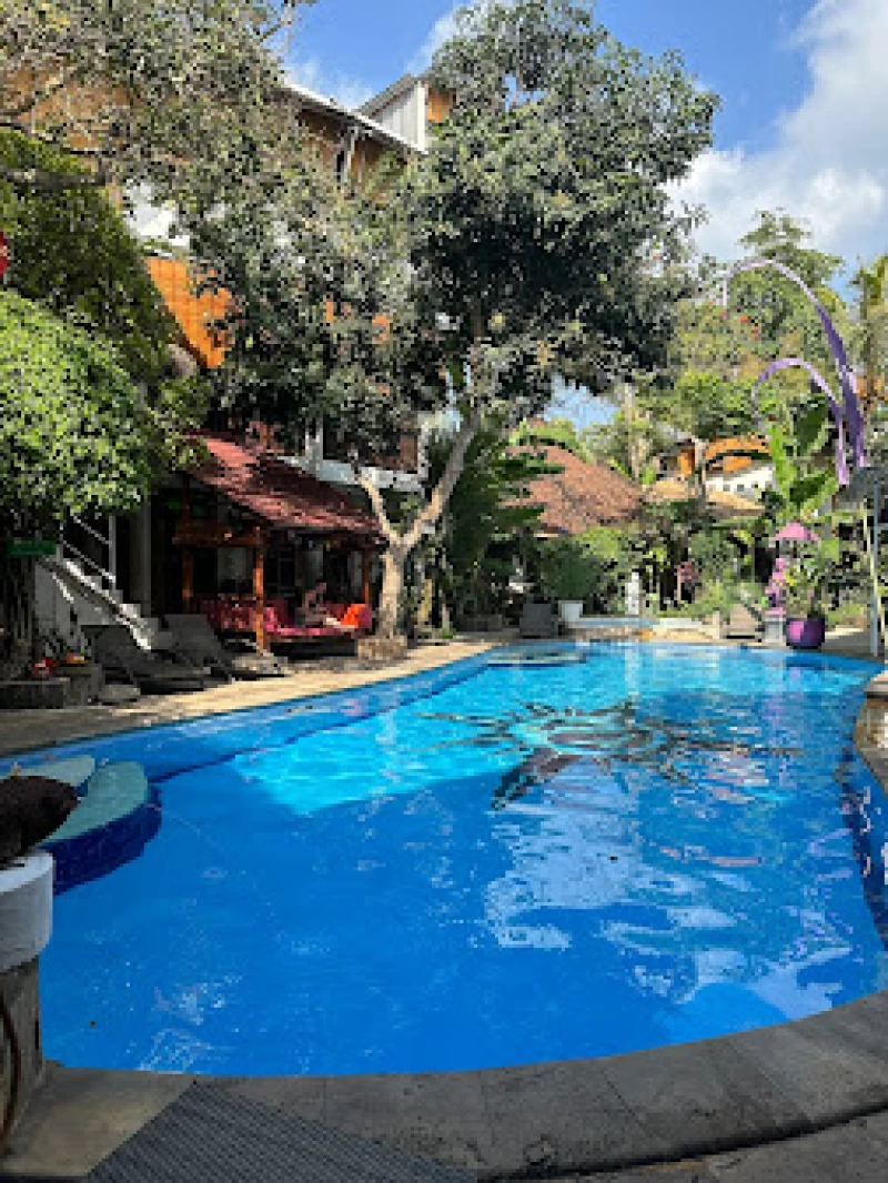 200 Stunden Multi-Style Yoga Teacher Training auf Bali