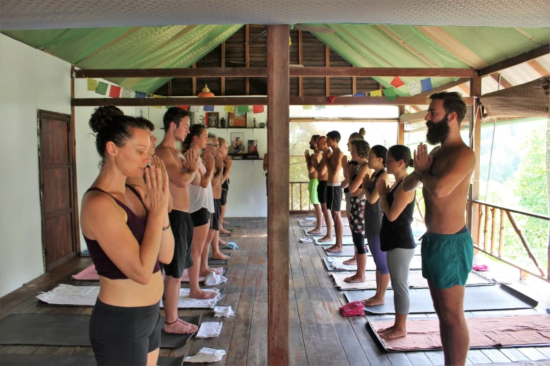 Yoga- & Detox-Retreat im Dschungel: Etabliere einen neuen Lebensstil
