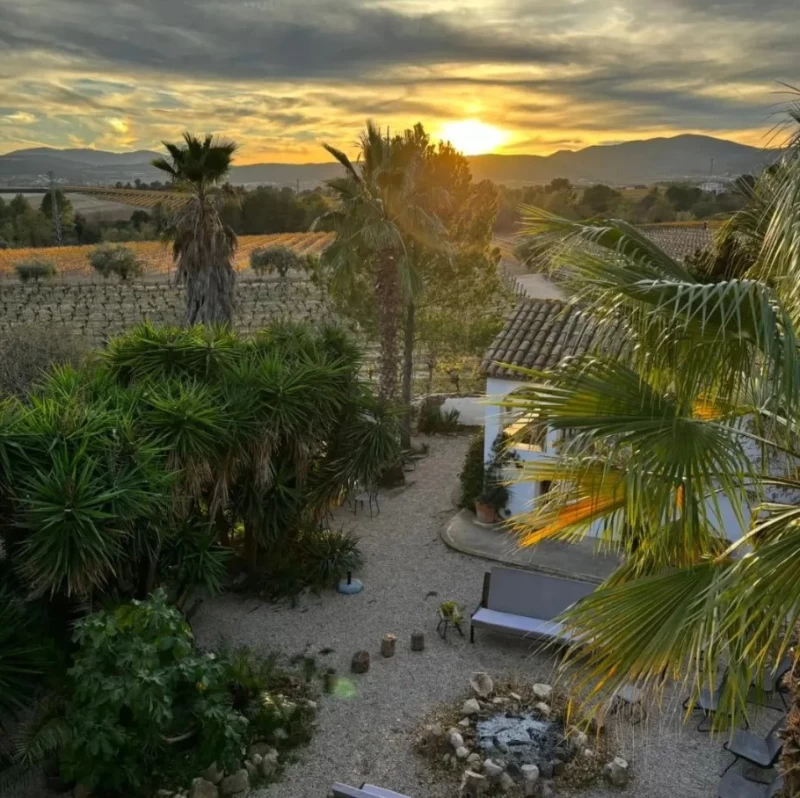 Yoga & Heilung mit Pferden: Dein Weg zu Ruhe und innerer Balance