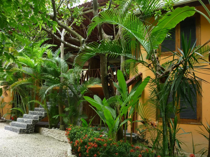 Lerne Surfen im tropischen Paradies Costa Rica