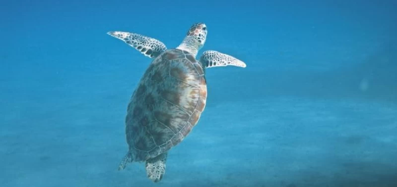 Surf-Guiding auf Nusa Lembongan: Yoga & Barrels