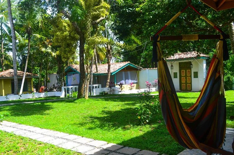 Erwecke deine Sinne: Yoga-Retreat im tropischen Paradies