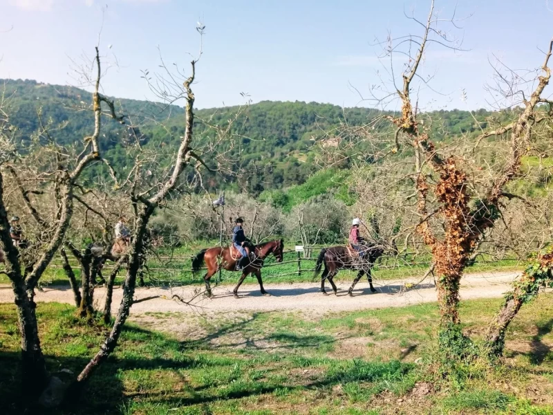 Reiten, Yoga und Fitness zwischen Olivenhainen und Weinbergen
