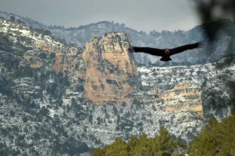 Trekkingtour durch Spaniens wildestes Bergmassiv