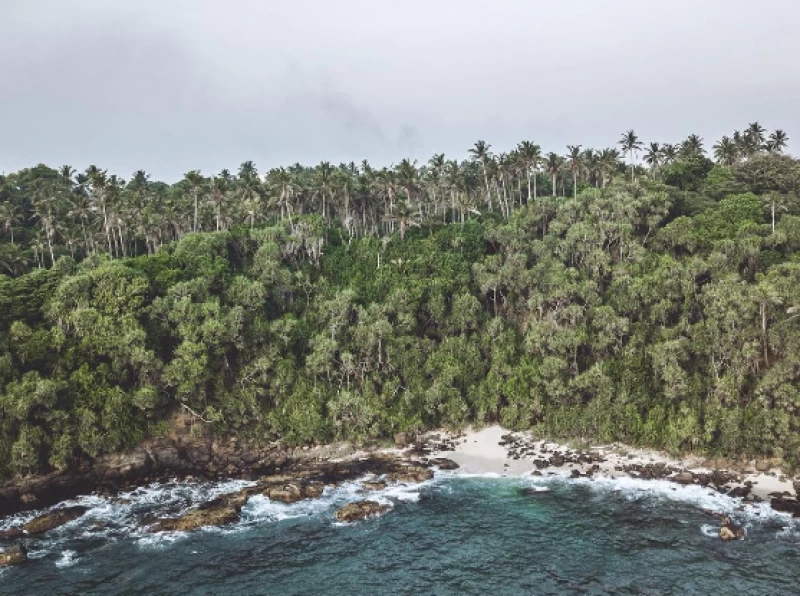 Keep the balance: Surfen und Yoga im tropischen Paradies Sri Lanka