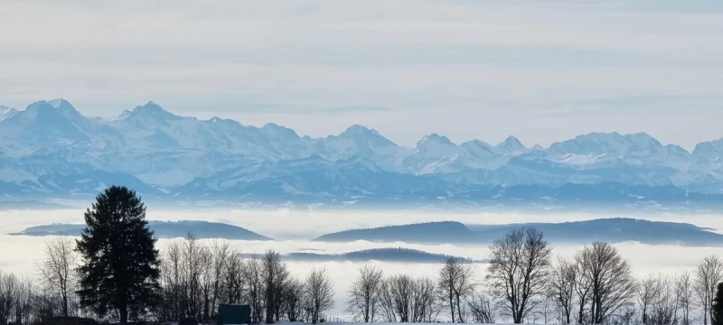 Dein Yoga Wochenende im Schwarzwald: Wellness-Retreat mit Alpenblick