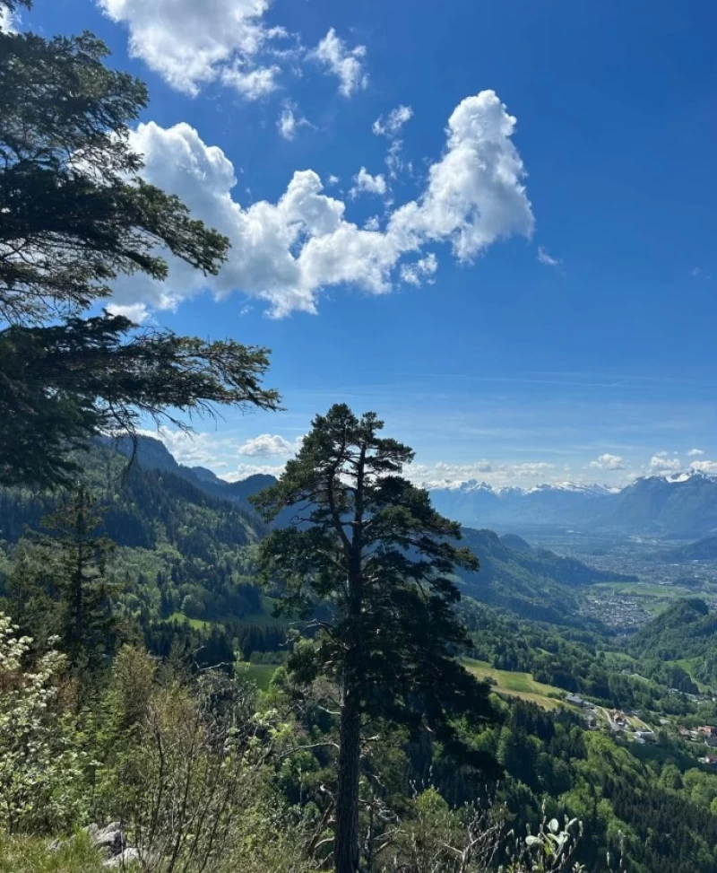 I AM Retreat: Liebevoll ehrlich und tief Verbunden mit Dir