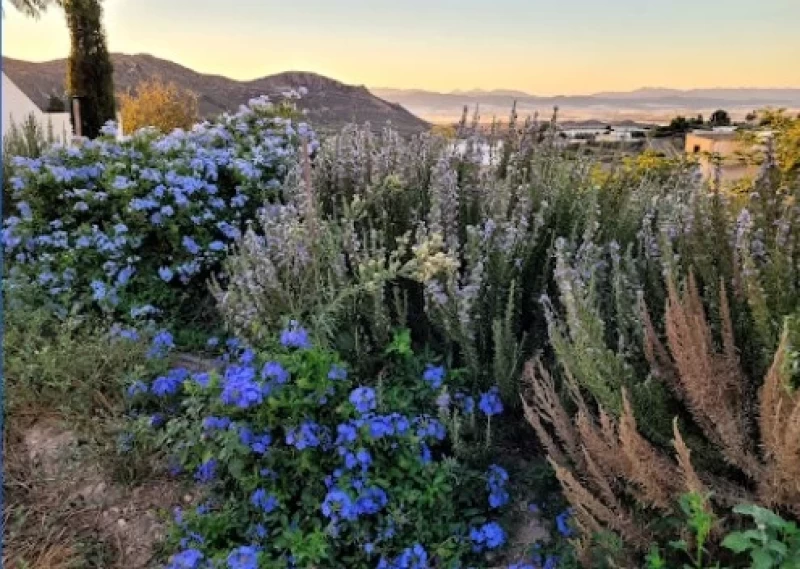 Leichtigkeit im Sein: Yoga, Meditation und Natur im Süden Spaniens