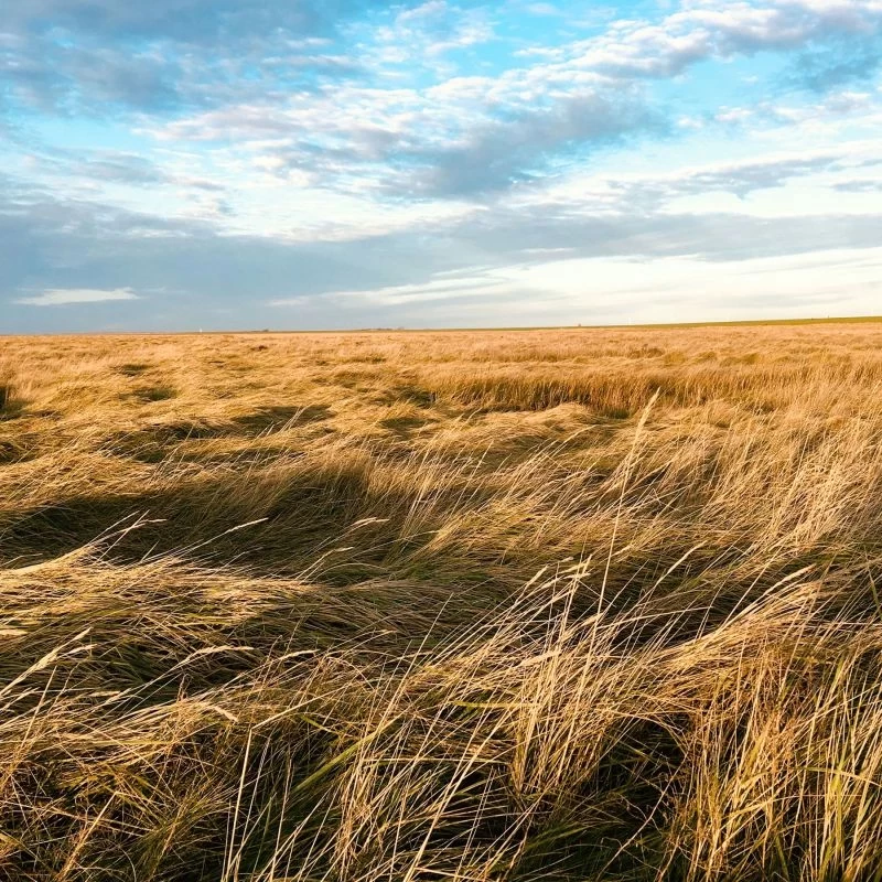 Entspannen und Entdecken: Yoga für Frauen am Wattenmeer