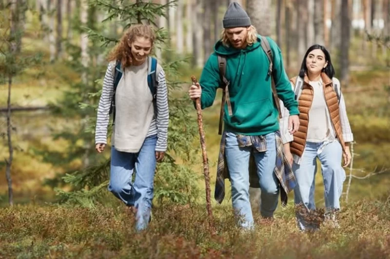 Aktiv-Auszeit für Gruppen mit Yoga, Wandern und Kultur im Harz