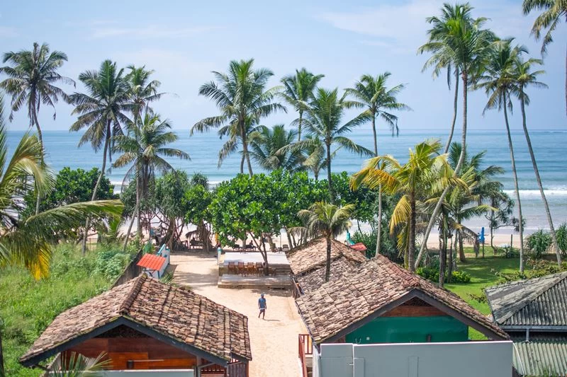 Surf & Yoga Camp in Weligama - Hang out with the cool kids!