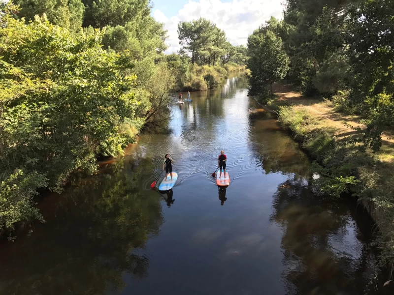 Surfen & SUP: Wellenreiten und Paddeln zwischen Pinien und Atlantik