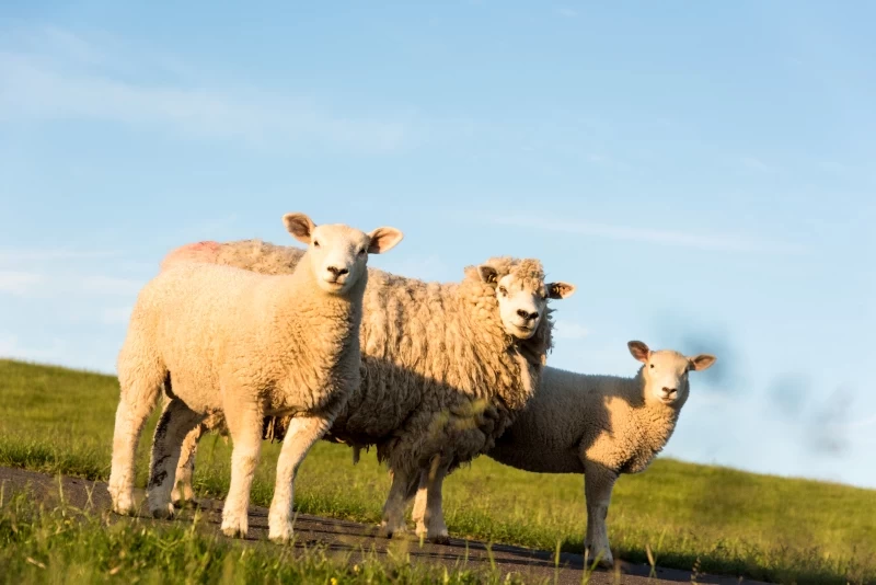 Tief einatmen & Stress loslassen: Dein Yoga-Retreat an der Nordsee