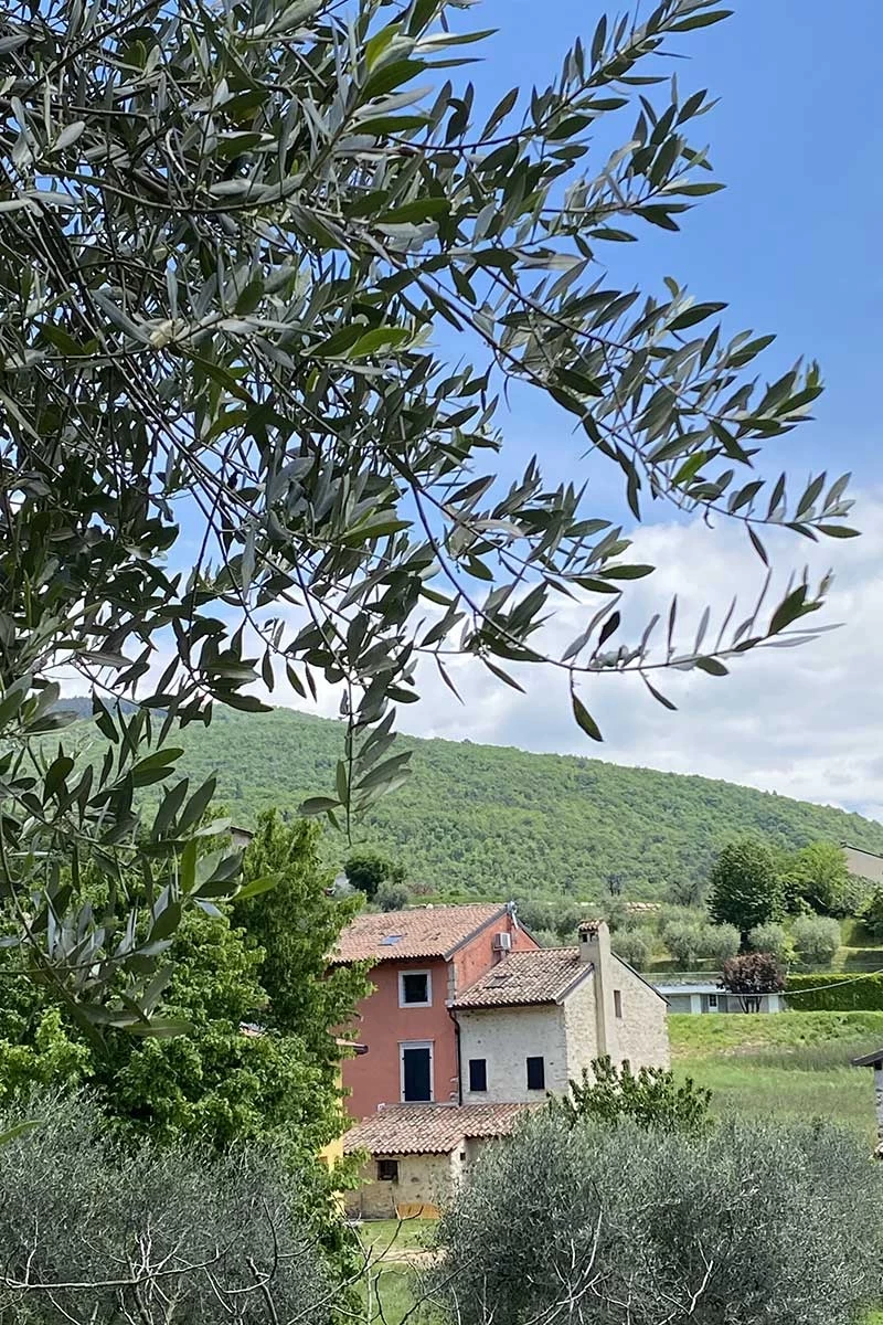 Erlebe la Dolce Vita: Yoga, Meditation und Kulinarik am Gardasee