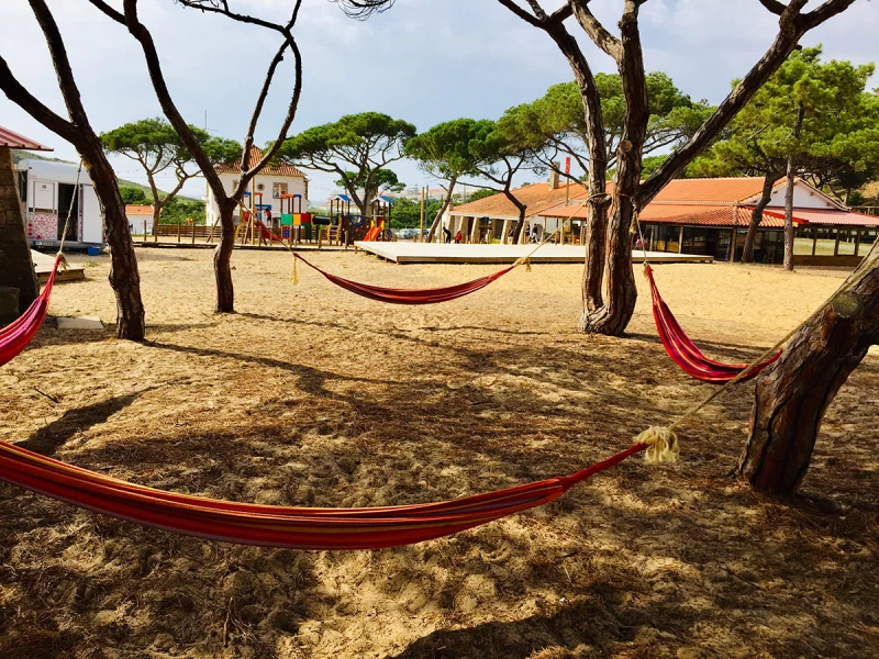 Surfen, Yoga & Natur unter Gleichgesinnten am Meer vor Lissabon