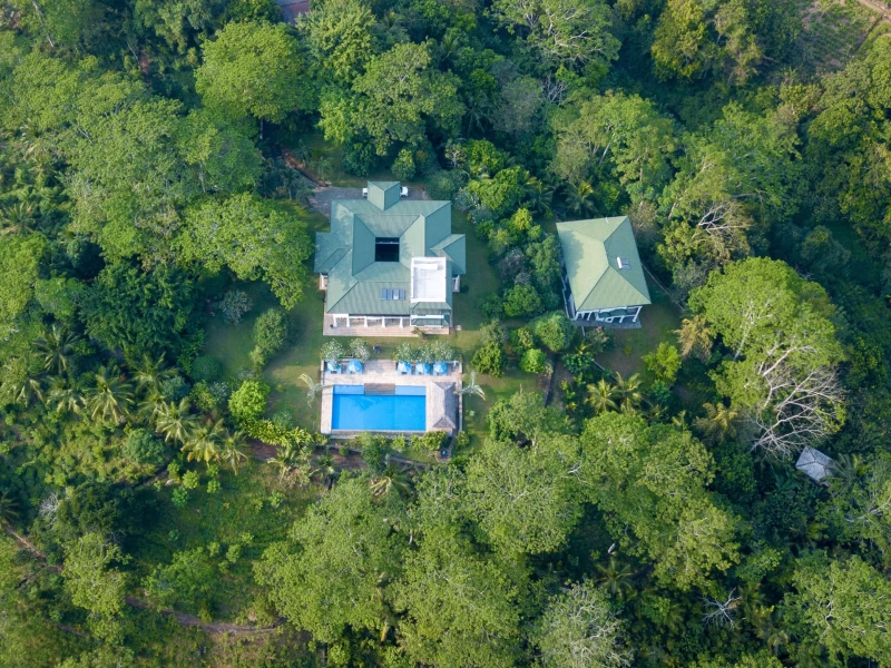 Dein Hatha Yoga Bliss Retreat inmitten einer Teeplantage