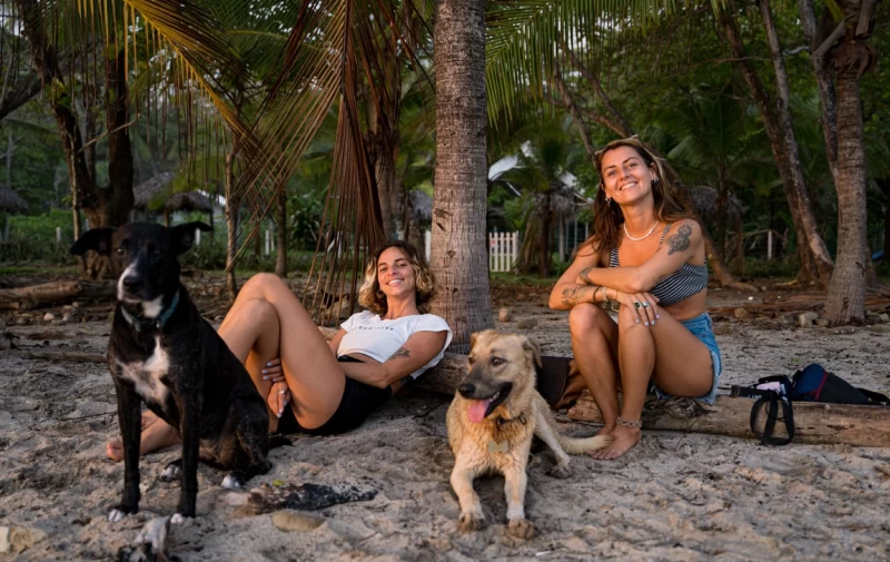 Surfen im Paradies: Dein Abenteuer voller Spaß erwartet dich!