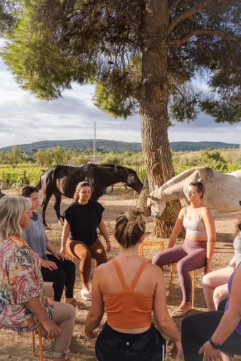 Yoga & Heilung mit Pferden: Dein Weg zu Ruhe und innerer Balance