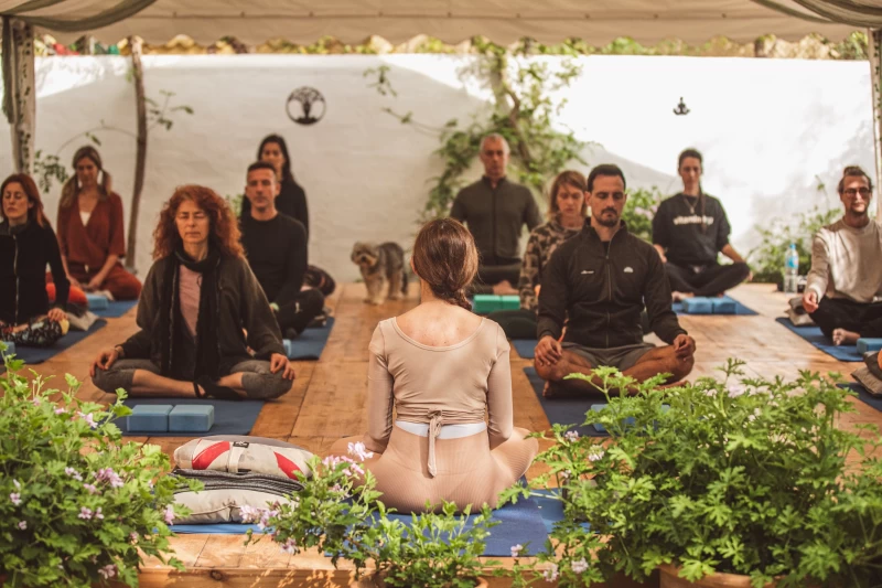 Yoga, Natur und Gelassenheit an der Küste: Ein transformatives Ibiza-Retreat