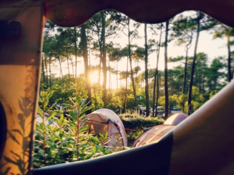 Surfcamp am Cap Ferret: Tauch ein in eine eigene Welt