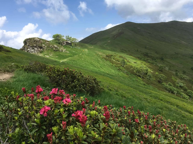 Malerische Yogawochen im Herzen des Malcantone