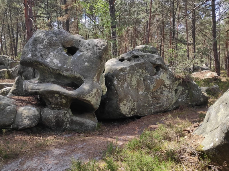 Bouldercamp im märchenhaften Wald von Fontainebleau