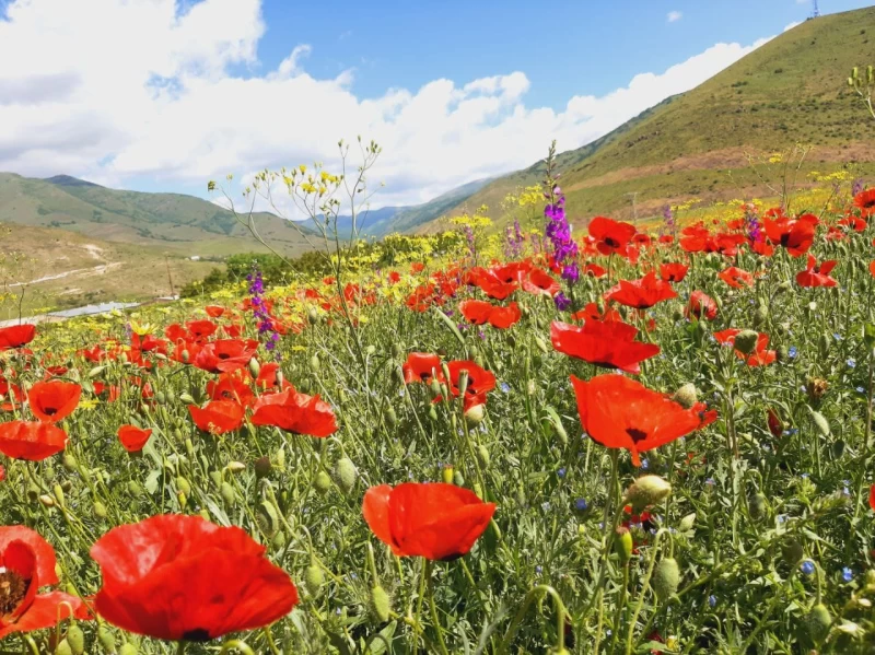 Atemberaubendes Armenien - Yoga und Wandern in der Natur - 1/5